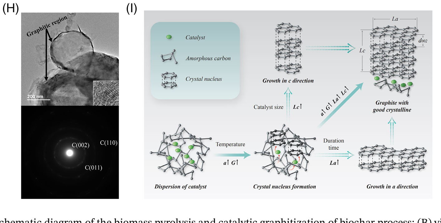 Microscopy and mechanism panels describing structure in biomass-derived graphite materials